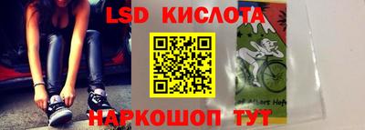 гашик Кандалакша
